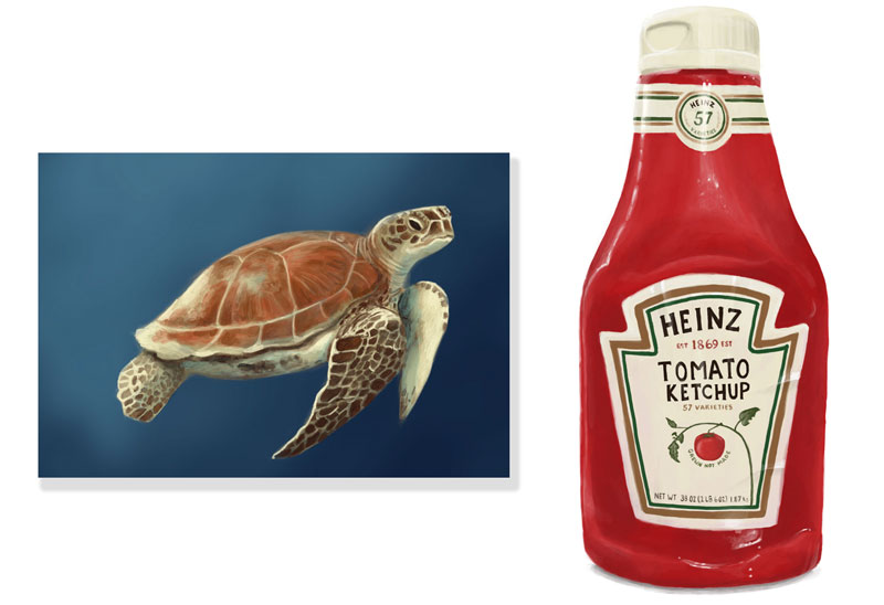 数字绘画与生育