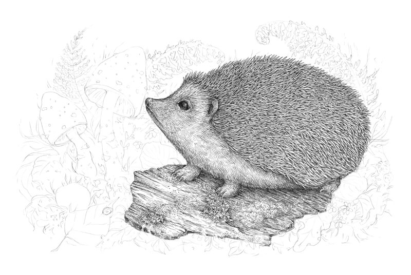 用墨水画树皮步骤3