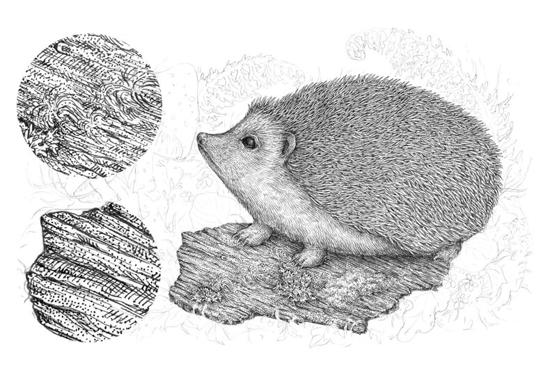 用墨水画树皮步骤4