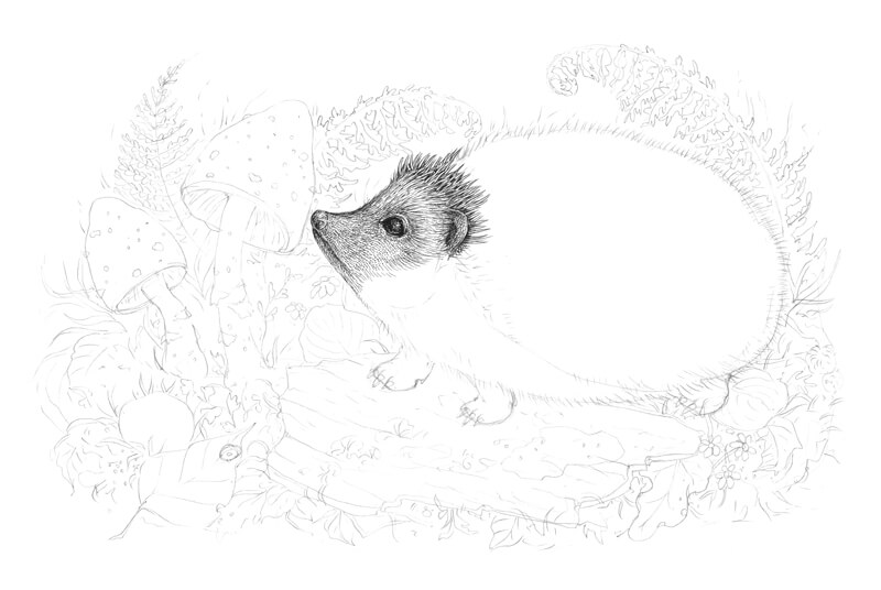 第一个墨水应用程序