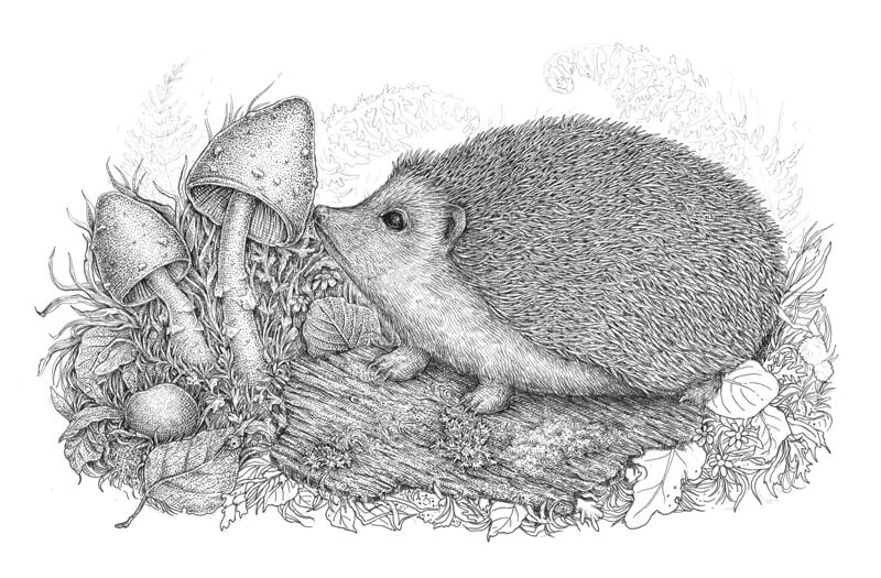 添加额外的元素画的前景