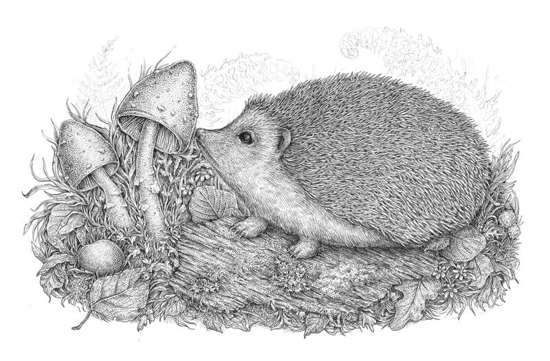 用墨水画花卉元素衬垫