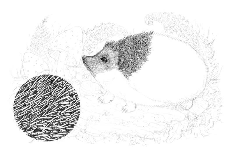 创建纹理用笔和墨水