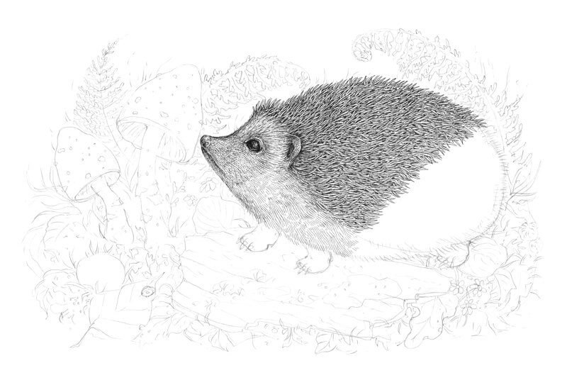 将纹理应用到墨水画画