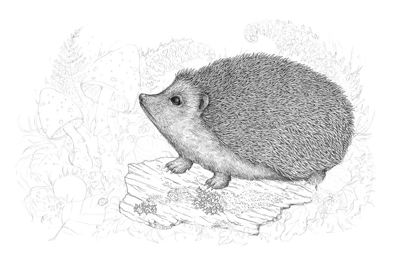 用墨水画树皮步骤1