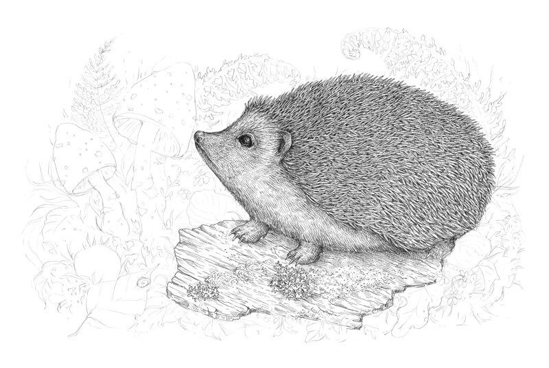 用墨水画树皮步骤2