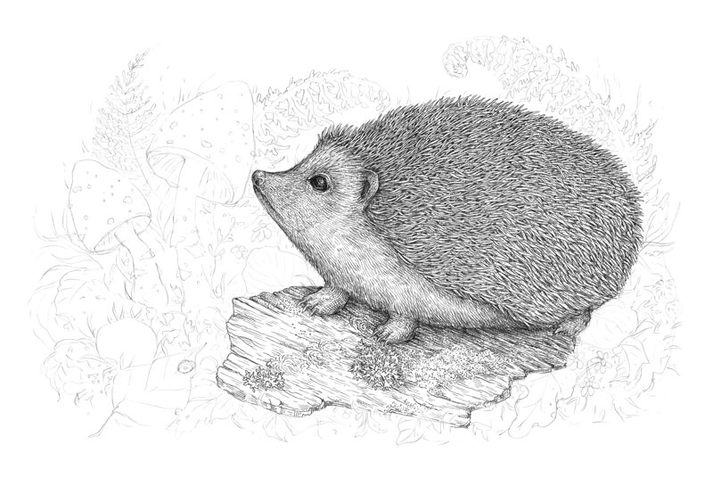 用墨水画树皮步骤2