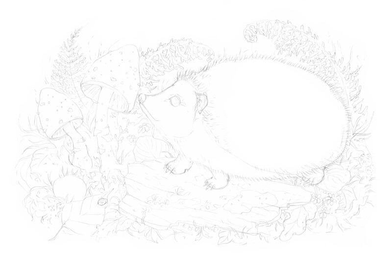 绘图笔和墨水画的轮廓