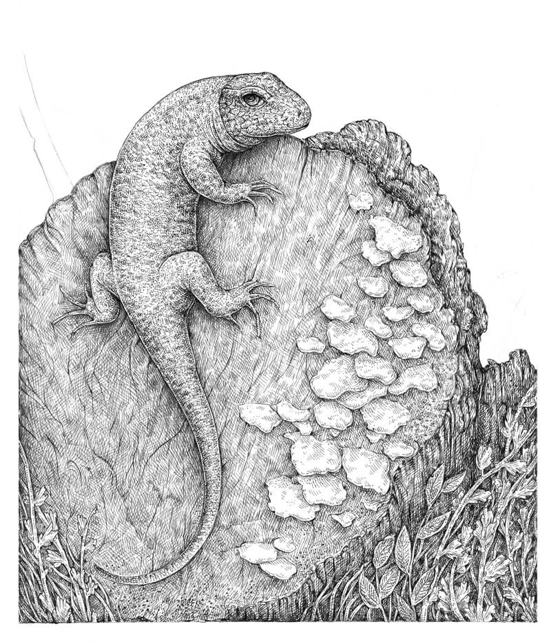 创建和谐的一幅画