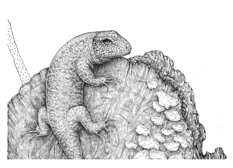 概述了树枝在后台