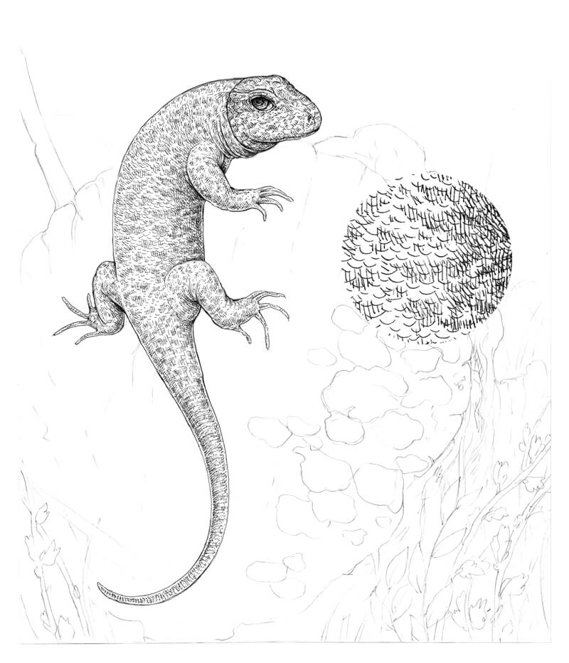 对身体的轮廓孵化