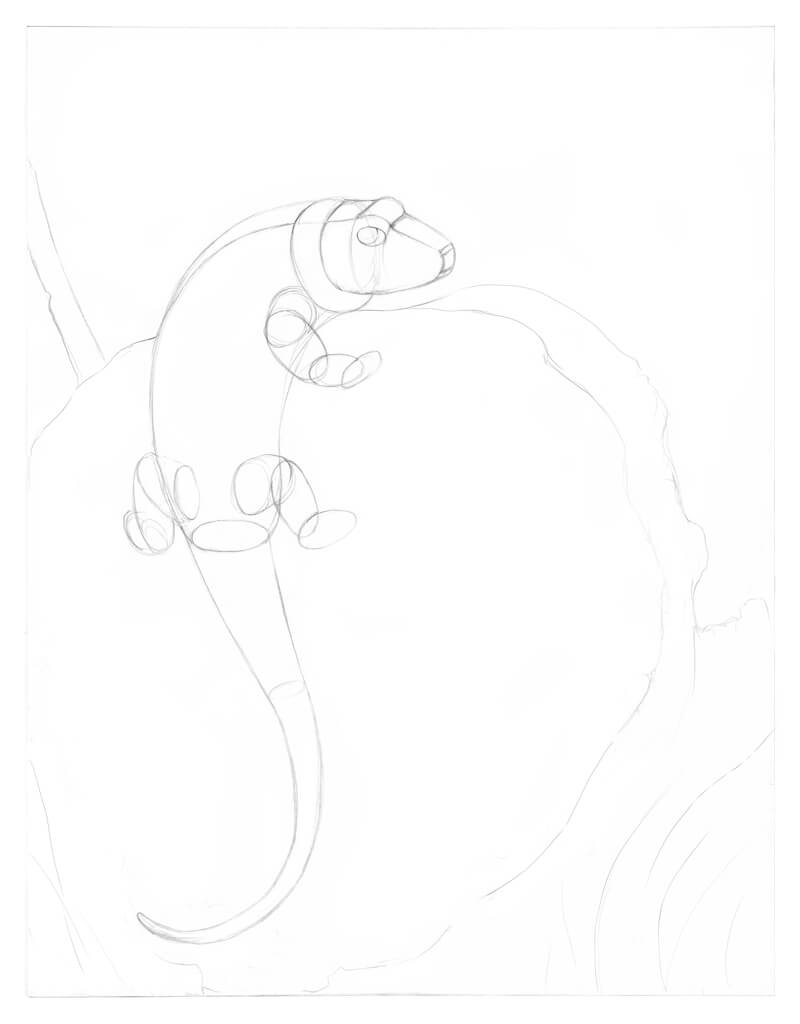 画出蜥蜴与基本形式