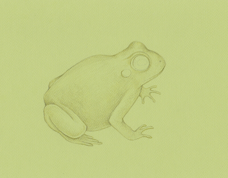 Graphitint铅笔的第一个应用程序