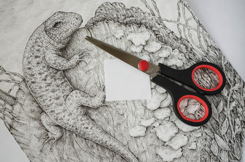 图的创建一个补丁