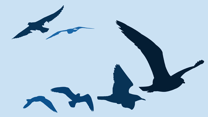 添加元素平衡组成