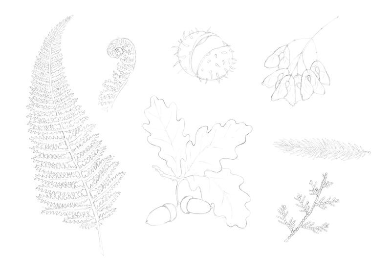 从自然完成了素描的对象