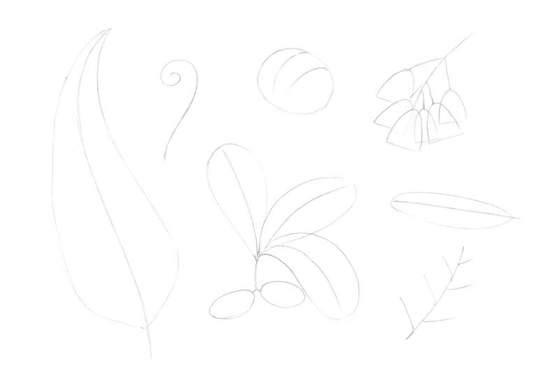 素描本质的学科