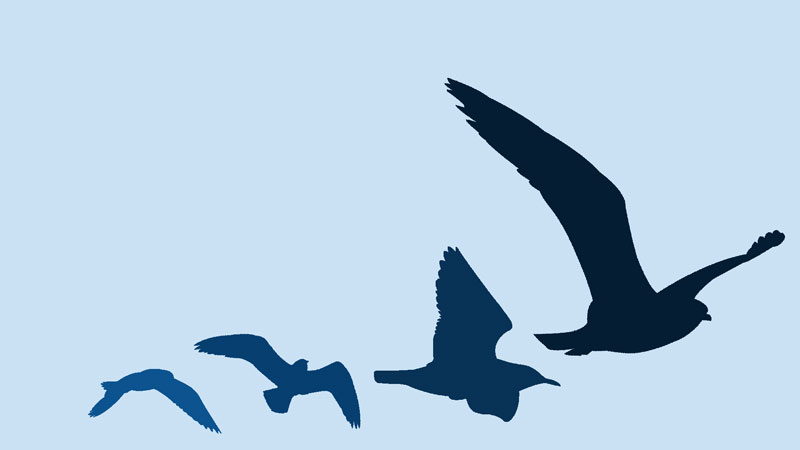 视觉上沉重的底部的成分