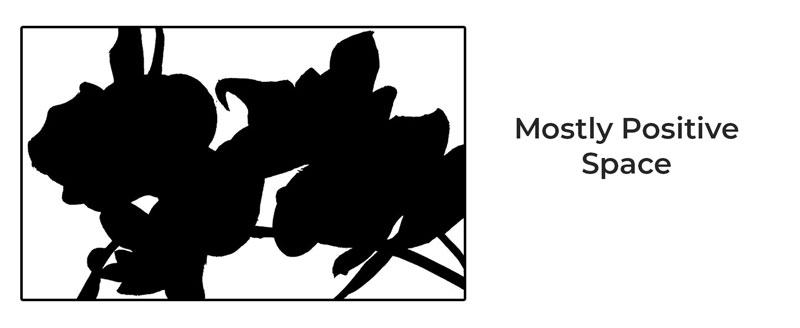 主要是正空间组成