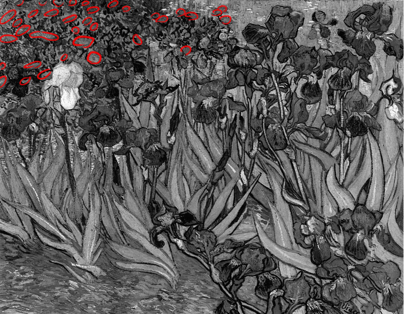 重复在艺术更小的鲜花