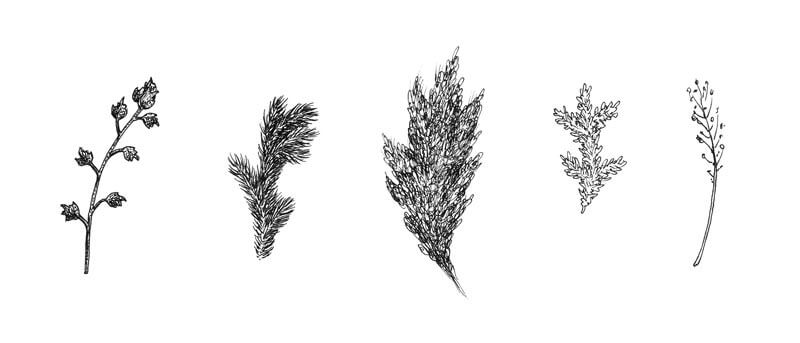 花卉元素在花环