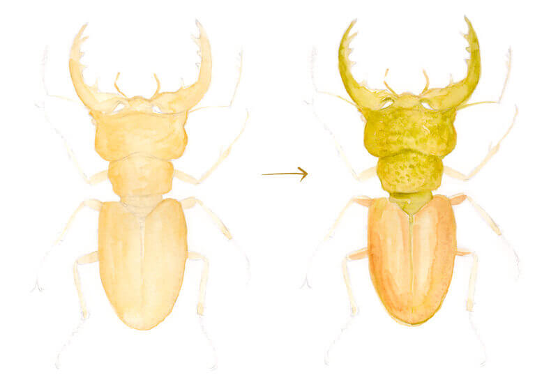 创建一个底层色水彩