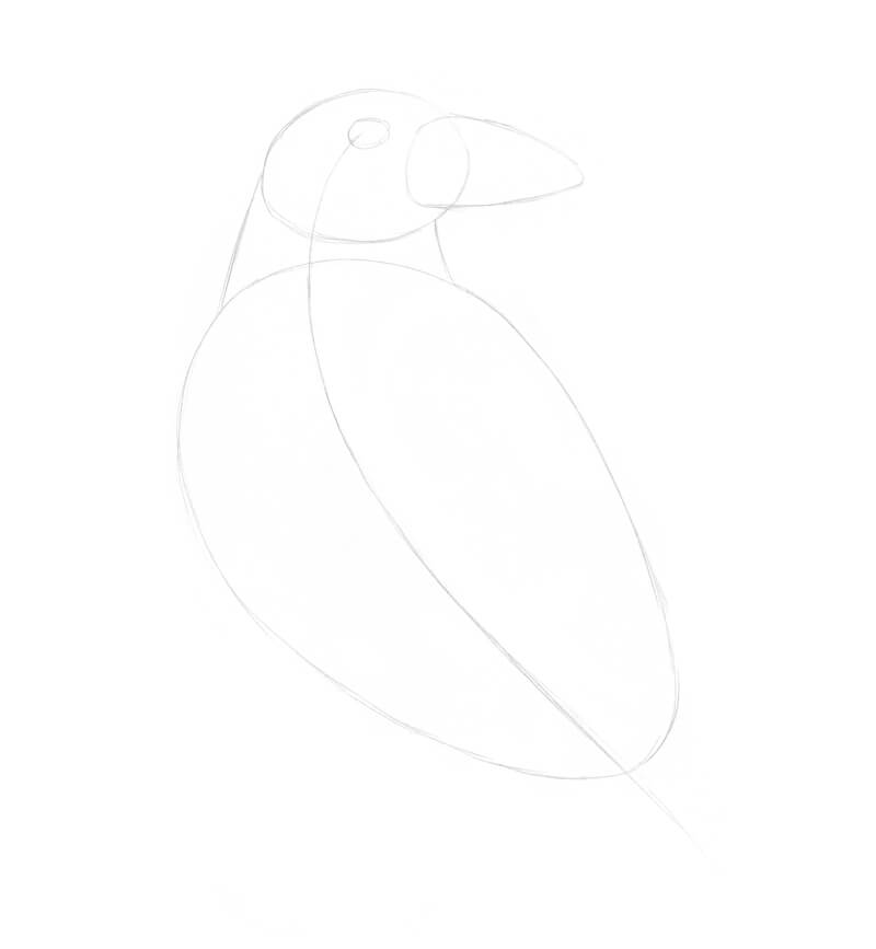 素描一般形状的乌鸦