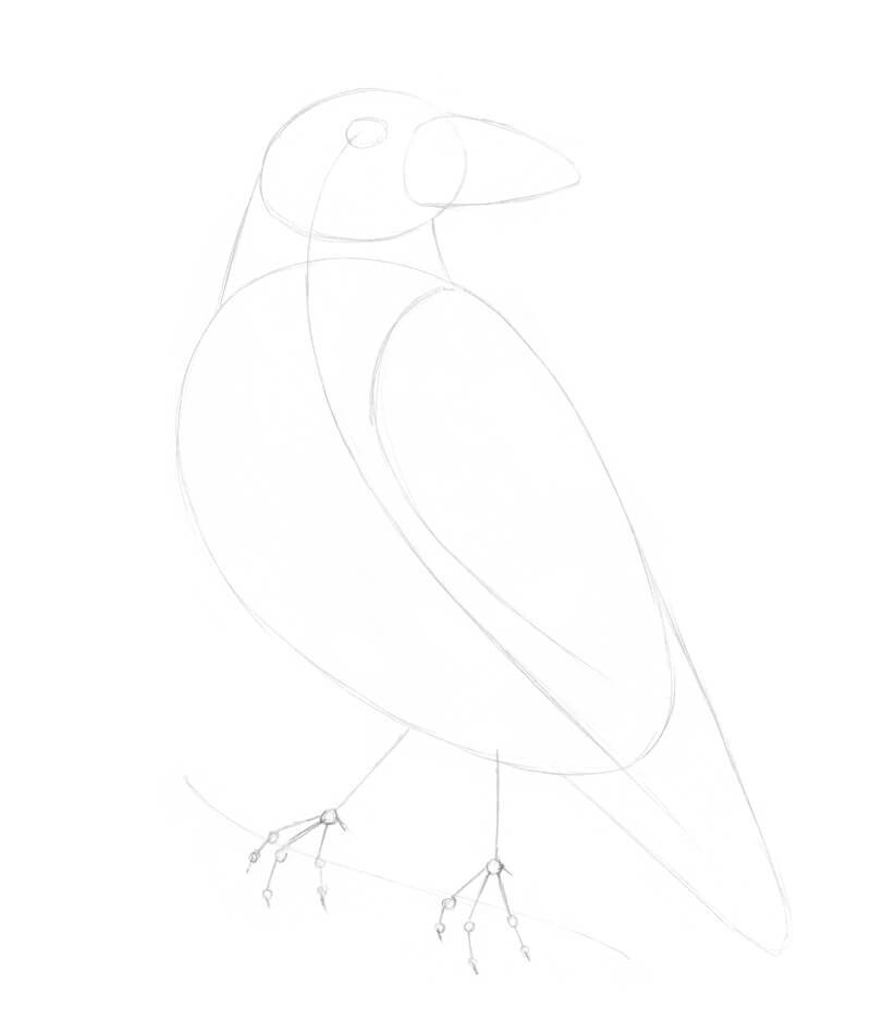 添加更多的草图的形状