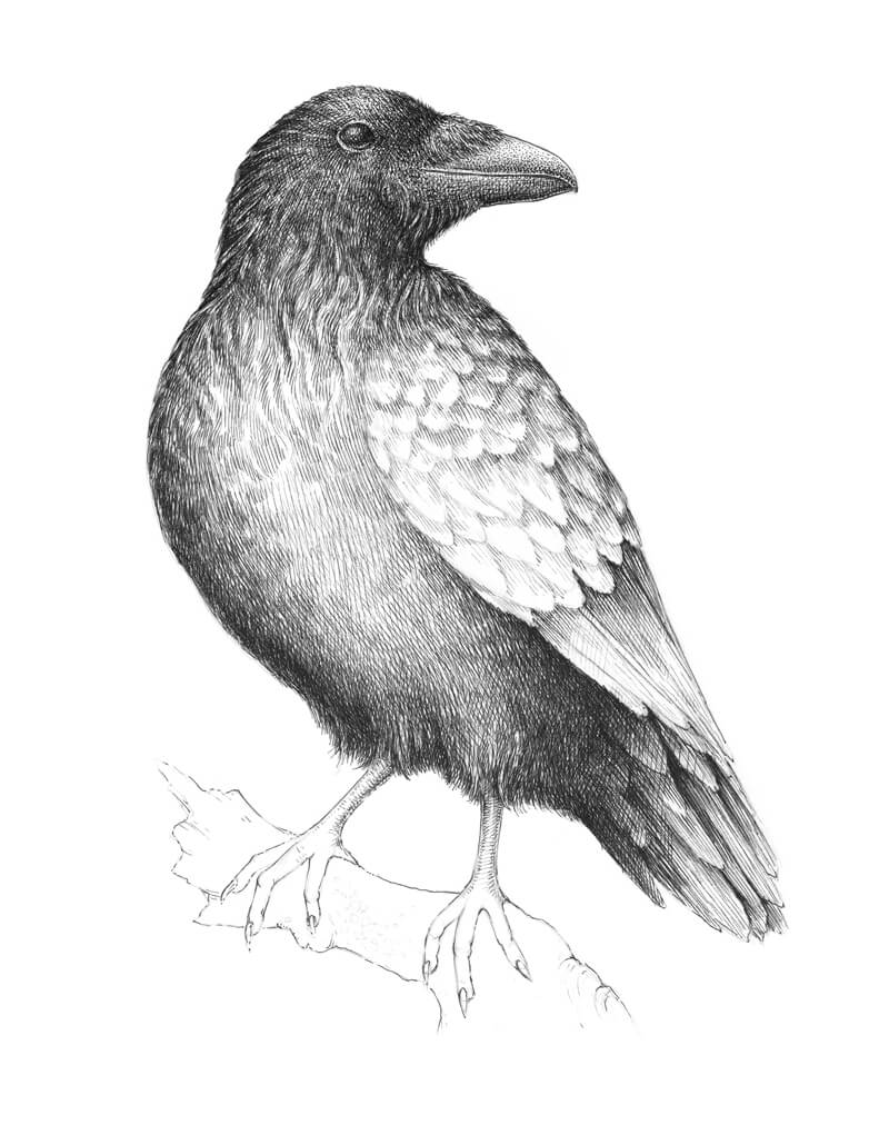 增加对比图,同时保持体积和形式