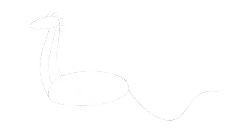 画龙的基本形状