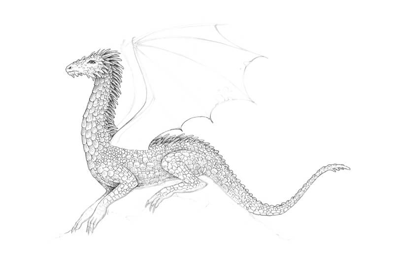画龙鳞龙的身体