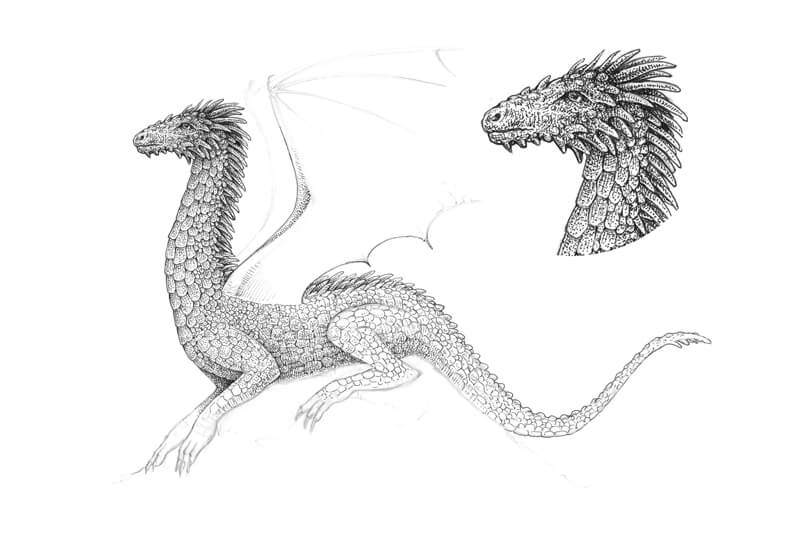 细节的龙的头笔和墨水