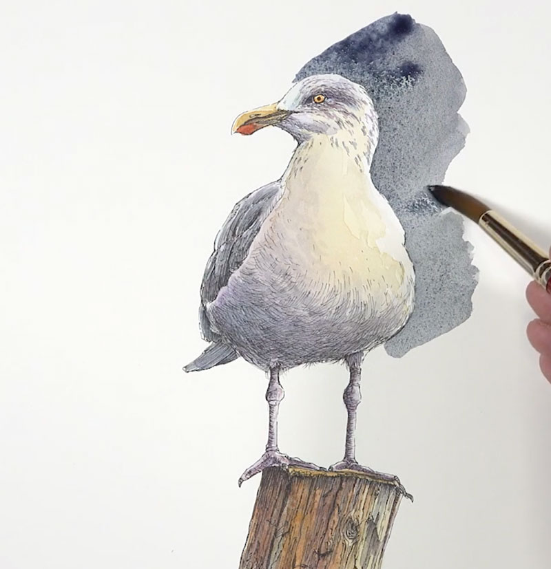 绘画在黑暗背景的海鸥