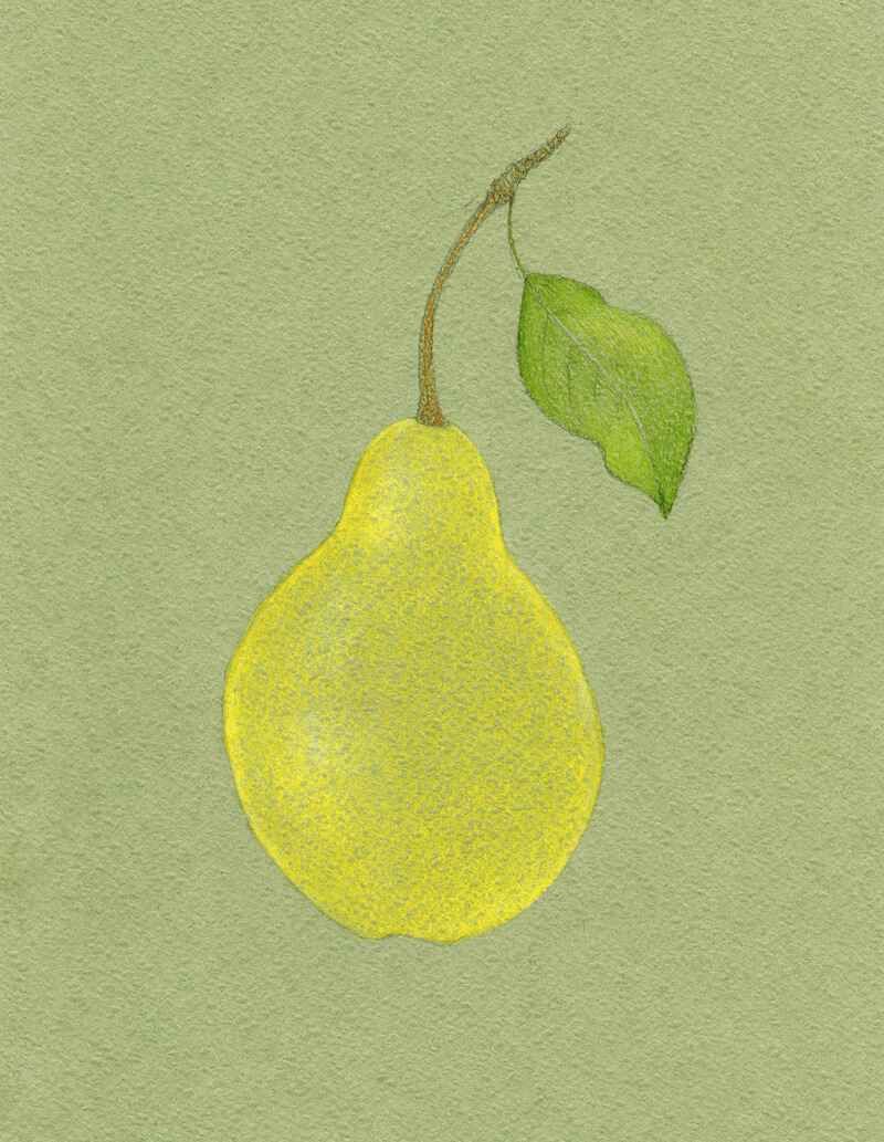 首先应用彩色铅笔