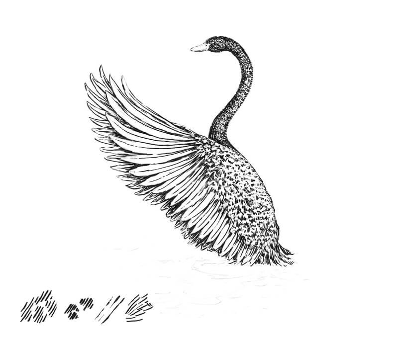 添加标志着细毛笔