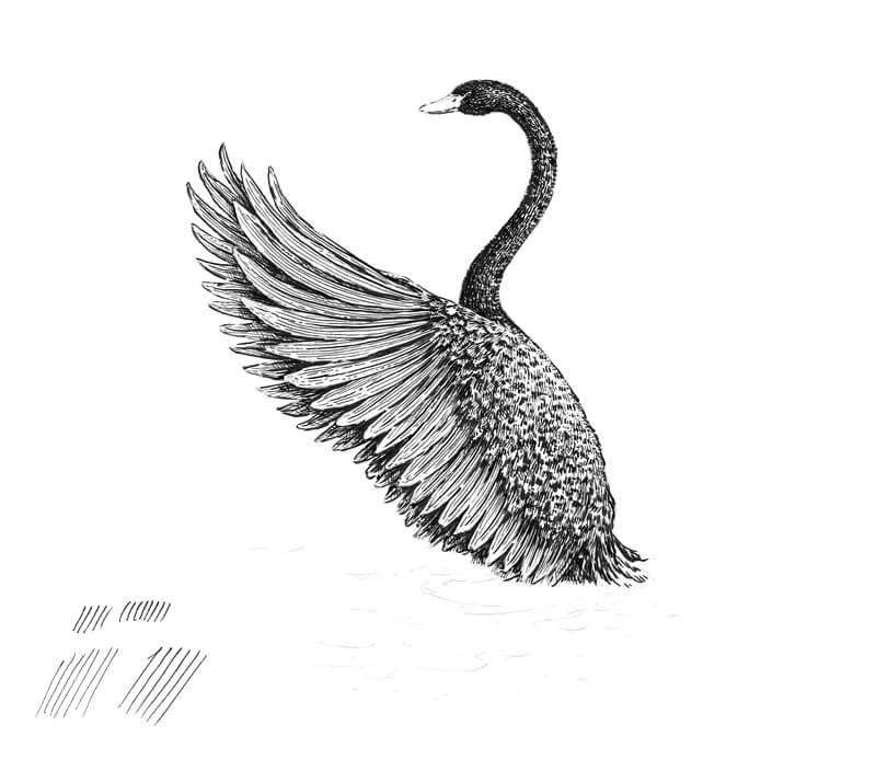 添加孵化和交叉孵化刷笔