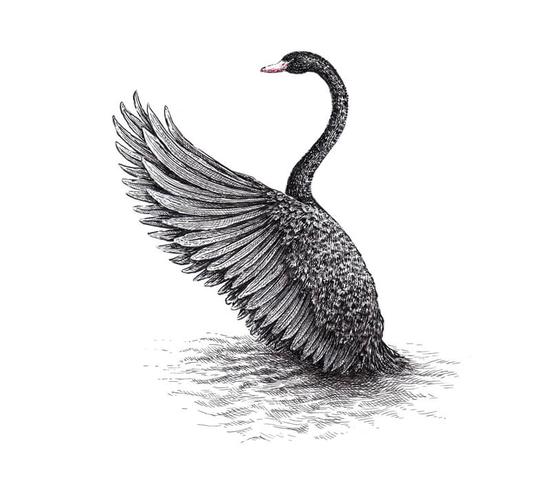 添加一个触摸毛笔画的颜色