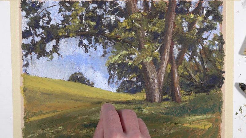 与石油彩笔画的花