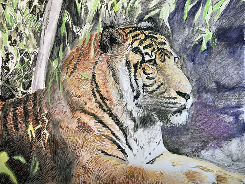 分层干是在画画