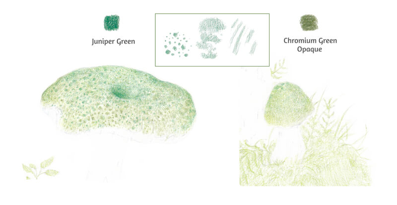 添加模式顶部的蘑菇有彩色铅笔
