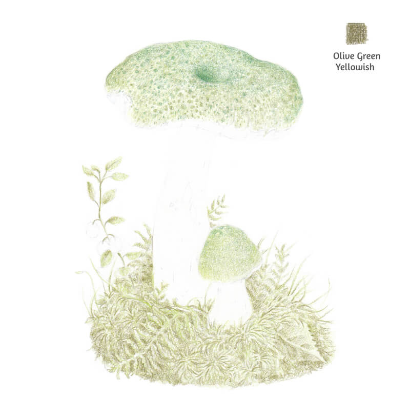 深色蔬菜添加到蘑菇和周围的植物