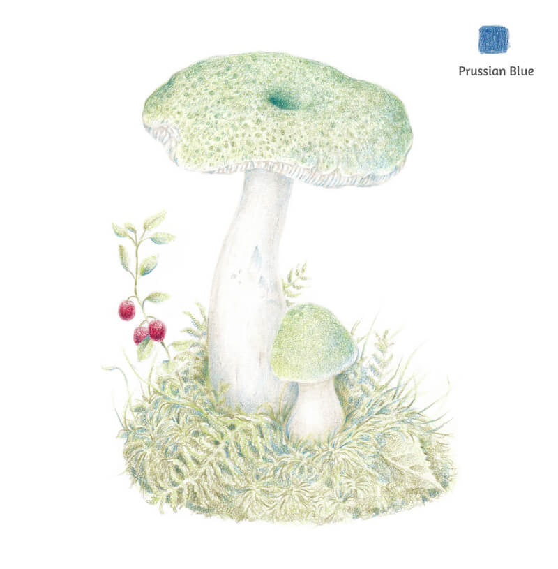 冷却的蓝色阴影