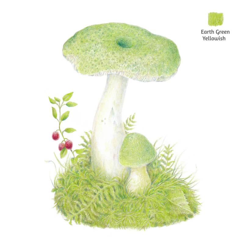 增加颜色的饱和度的绘画