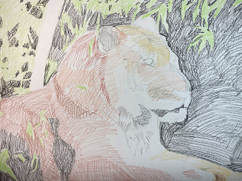 水溶性蜡笔的初步应用