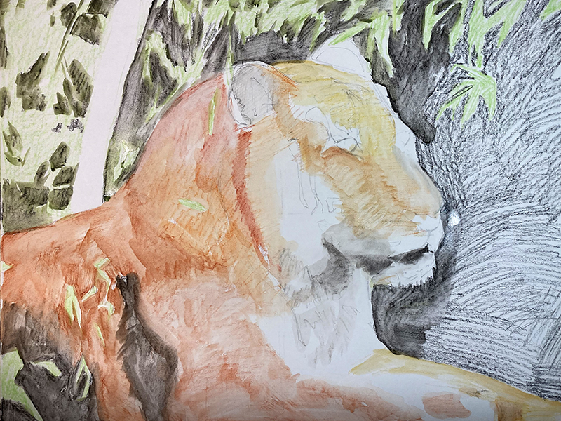 用水溶解水溶性蜡笔