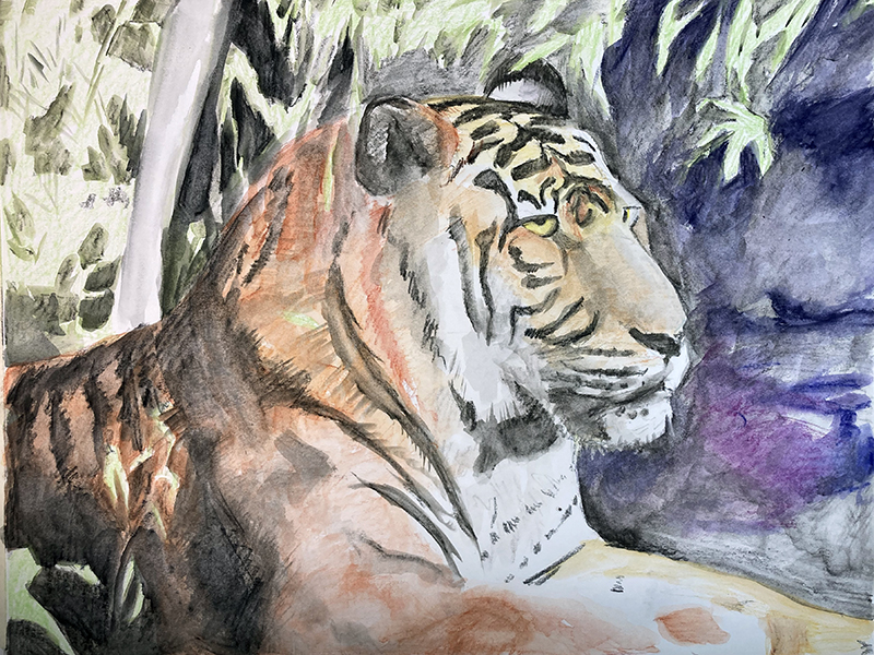 建立一系列绘画的价值