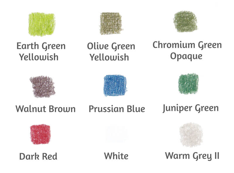 彩色铅笔的颜色和色板供画一个蘑菇