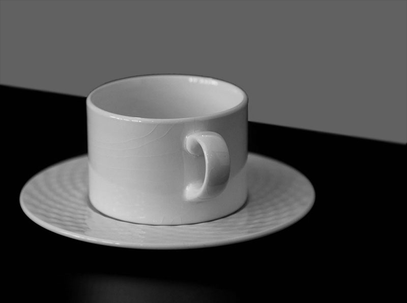 Monoprint照片参考