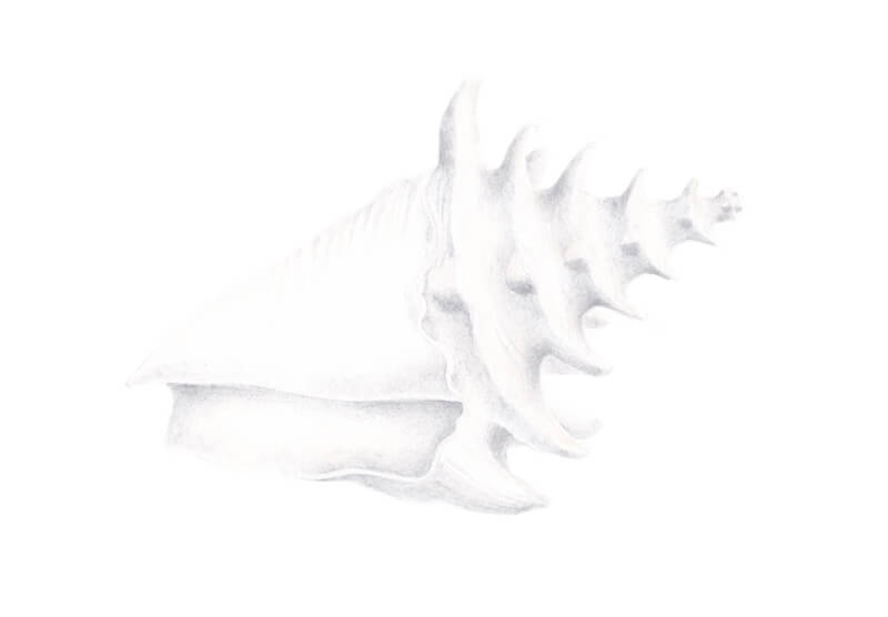 画的色调模式壳