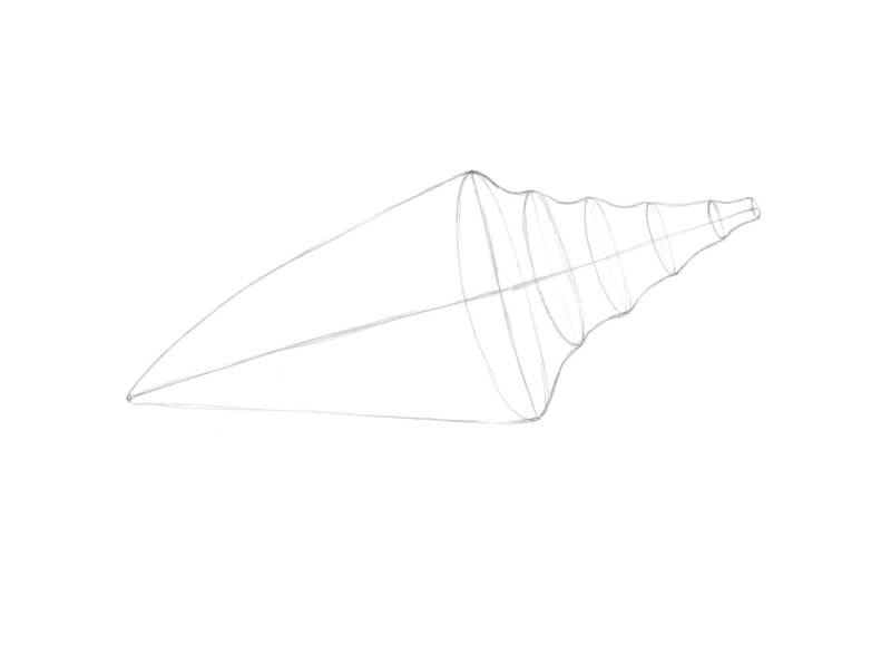 海贝的等高线图